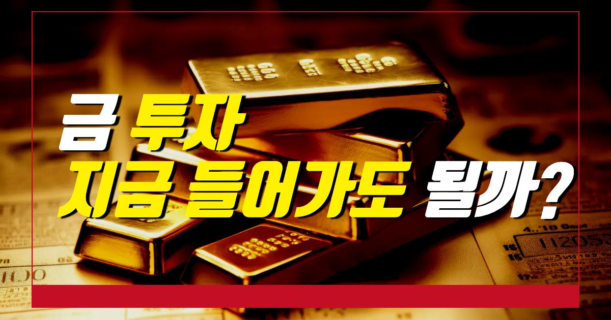 금투자 지금금사도 될까